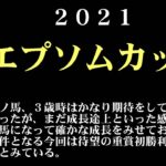 【ゼロ太郎】「エプソムカップ2021」出走予定馬・予想オッズ・人気馬見解